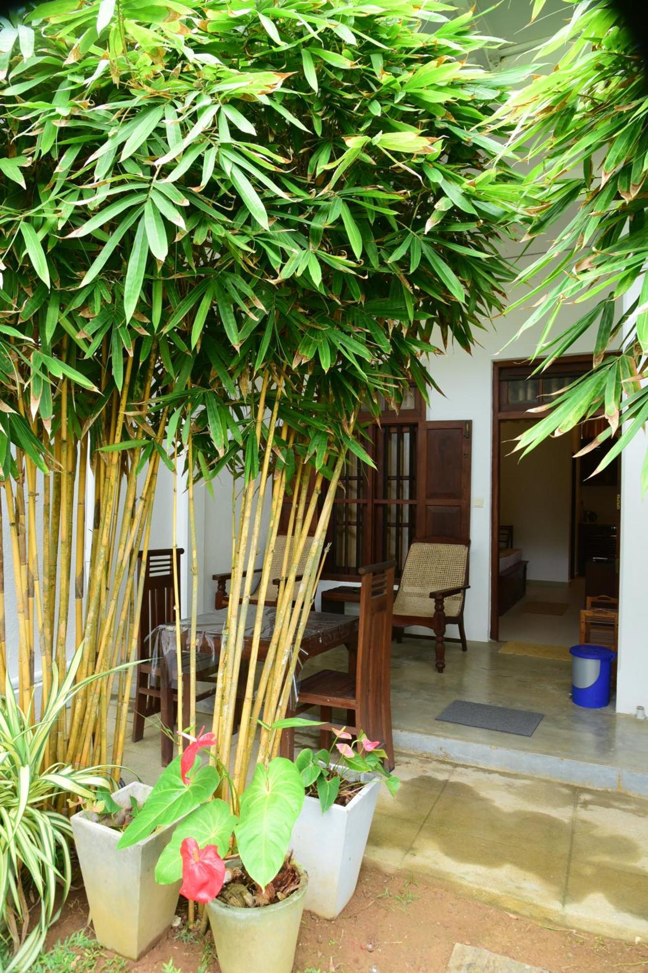 Tranquil Hotel Хикадува Екстериор снимка